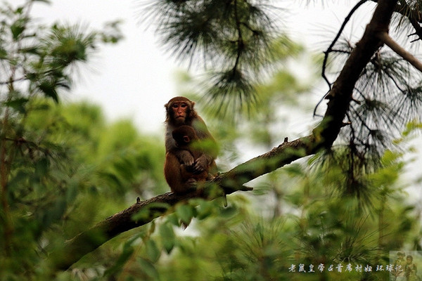 两院院士广东江门,江门院士有多厉害