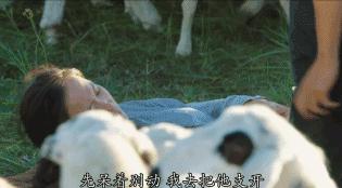 难得一看的国产电视剧,难得一见的国产电视剧推荐