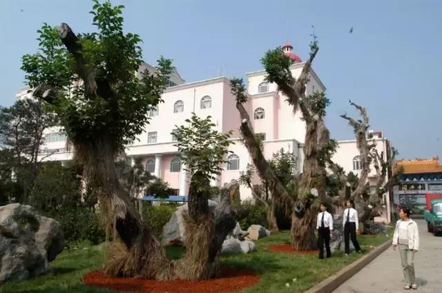 天津值得去的艺术展览馆,游走北京感受