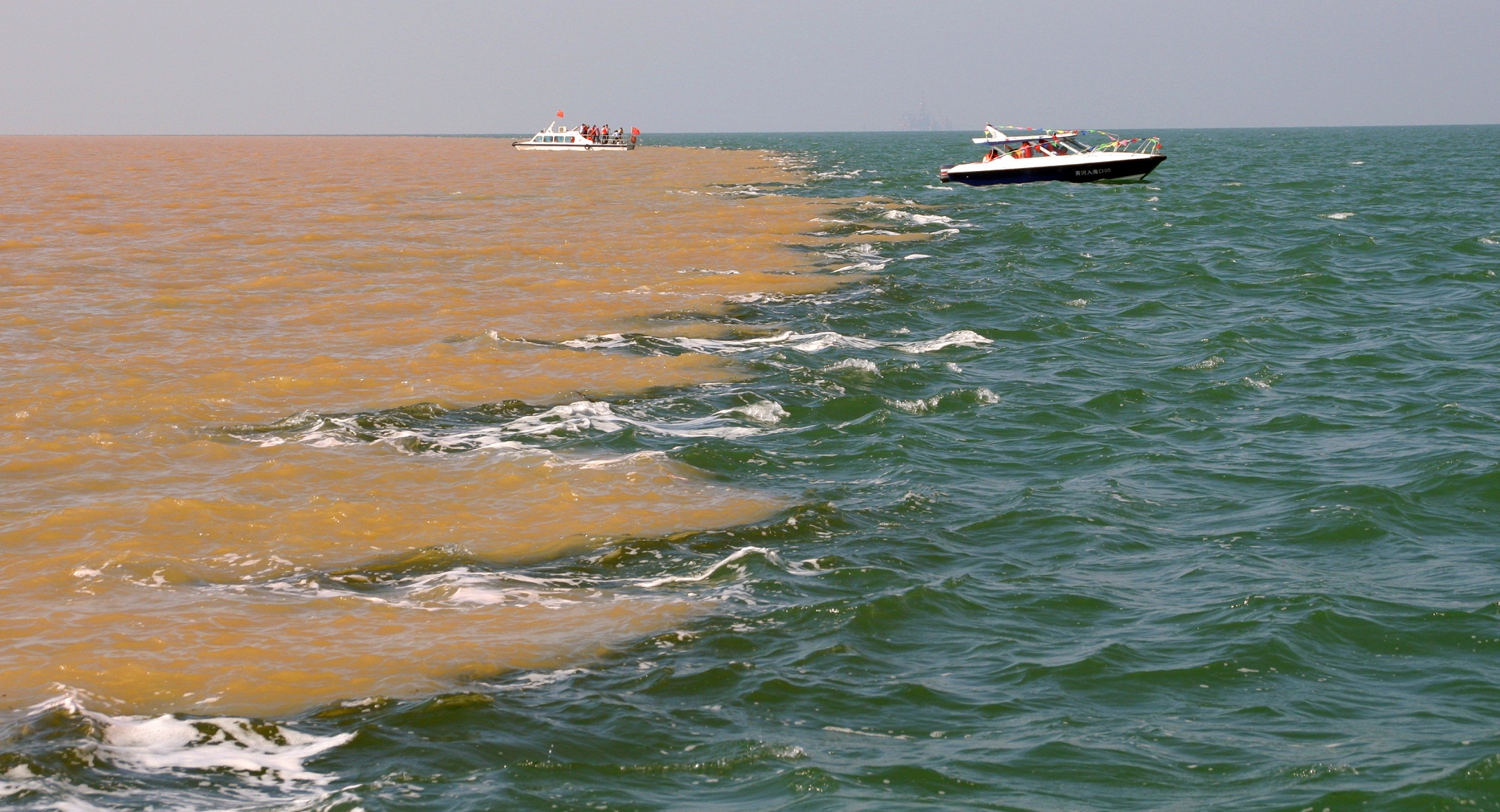 这个秋季，来东营赏红毯，看大黄鸭，品大闸蟹！