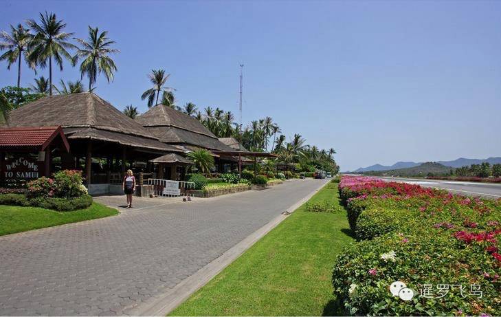 世界上最美的机场跑道,世界上最美的机场