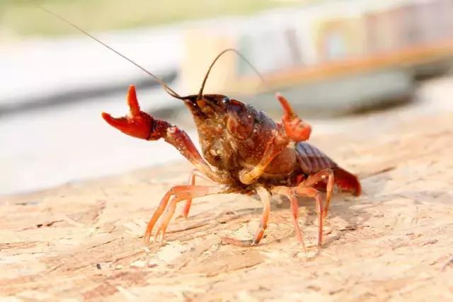 一封火爆全网的辞职信,一封辞职信的心声