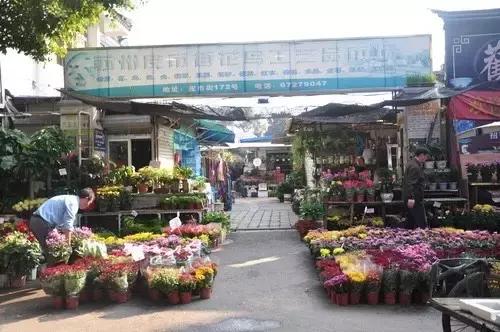 走过这20条街道，你才算来过苏州