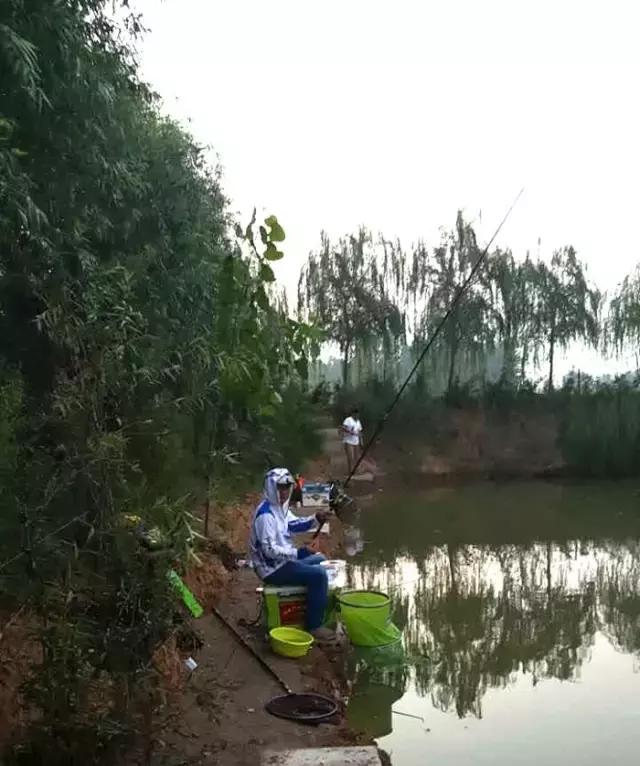 《渔获战报》黑坑之王在此，江湖没有之一