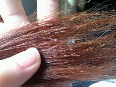 头发分叉断发怎么补救,头发分叉用什么护发素