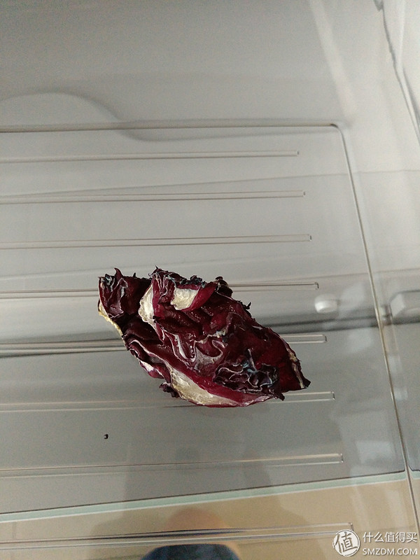 惠而浦冰箱bcd-432wmgbws怎么样,惠而浦嵌入式冰箱7000wc测评