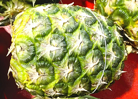 去沙漠容易得什么病,在沙漠中如果生病了如何就地治疗