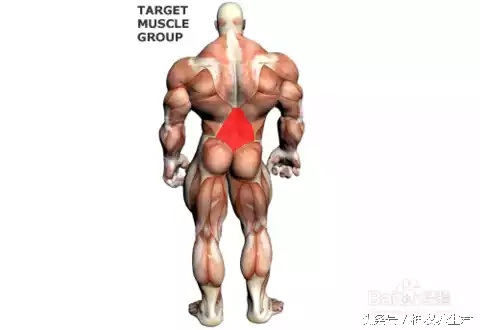 十大常见运动损伤部位及防治,运动损伤最容易出现部位