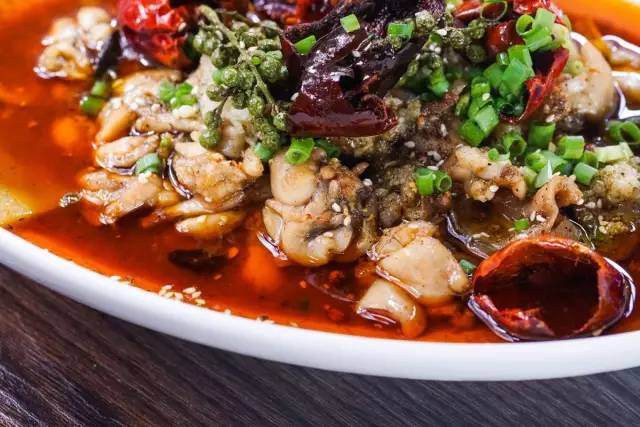 卷福秋冬季新菜发布会(上):一大波卷福的朋友们正在来袭!