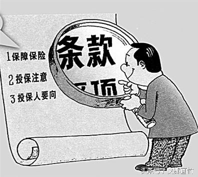 记住这8点你一定能看懂保险条款,看保险条款需要注意什么