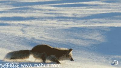 加盟犟骨头需要多少钱加盟费,讲道理不讲理