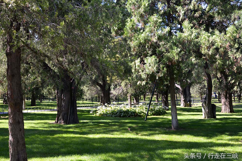 天坛皇帝祭天图片大全,天坛五谷丰登场所