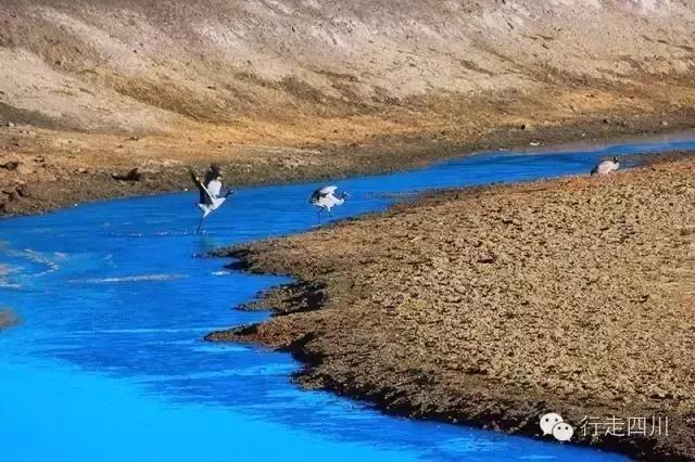 四川景点必去十大景点五月,四川5-6月最美的地方