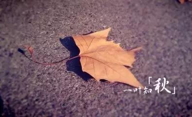 云阳县城市新区,云阳新变化有哪些