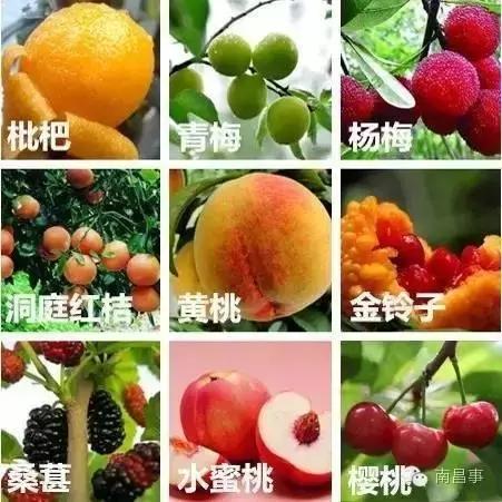 南昌美食推荐必吃前十名,南昌一座美食城市