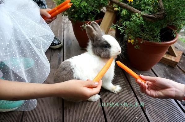 杭州热土庄园游玩攻略,杭州热土庄园位置