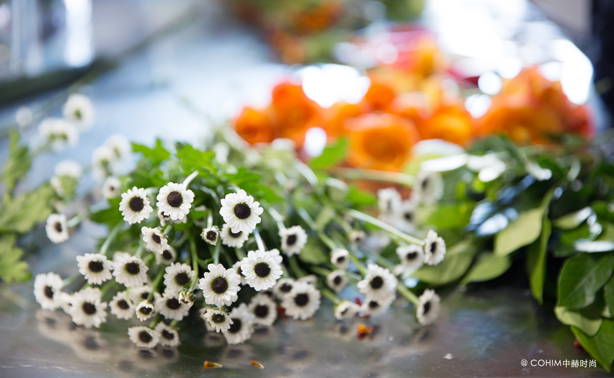 中赫有什么不同?看看我们学生的毕业答辩你就知道啦!