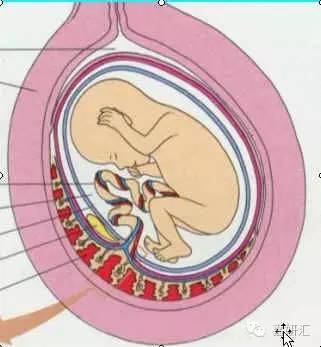 如何观察早期胎盘异常,知道这五点管理就会轻而易举
