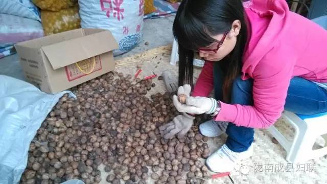 博士女村官的乡村振兴之路,大学生女村官放飞梦想