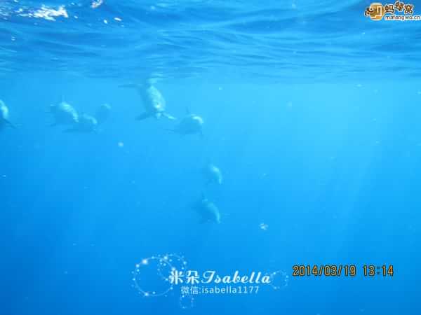 毛里求斯的日常,孤独的毛里求斯