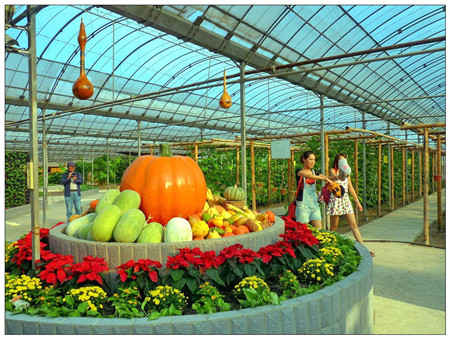 2022上海旅游节活动名单,上海旅游节到什么时候开始