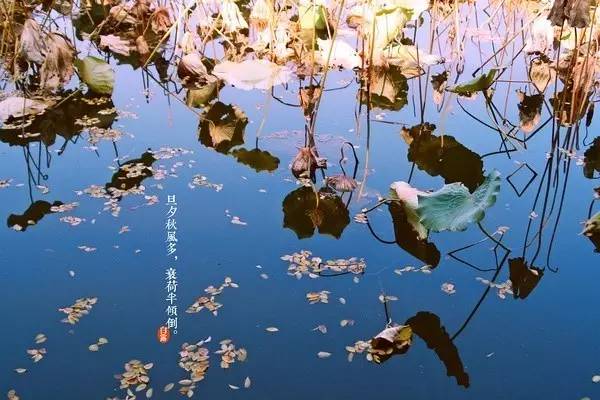 爱银川爱生活明天将迎“白露”全年昼夜温差最大节气