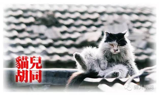 车棚放车,车棚躲雨冰雹