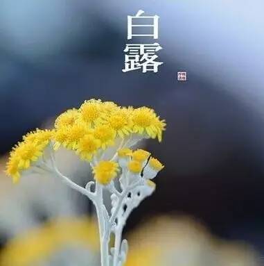 爱银川爱生活明天将迎“白露”全年昼夜温差最大节气