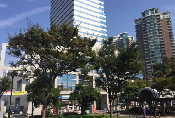 支付宝和微信哪个市场份额大,支付宝和微信的新劲敌