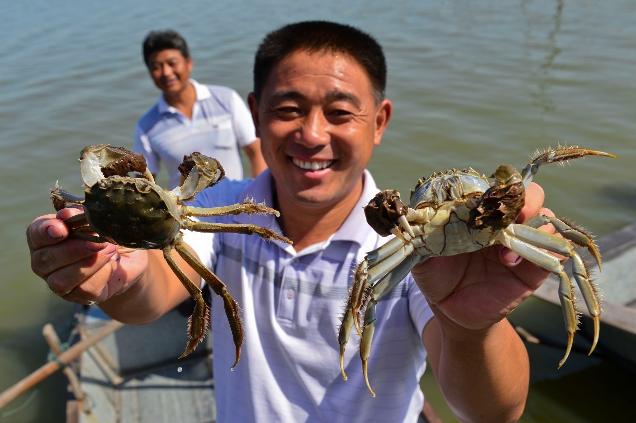 40年前蚌埠有多辉煌,这五年来我们都有哪些进步