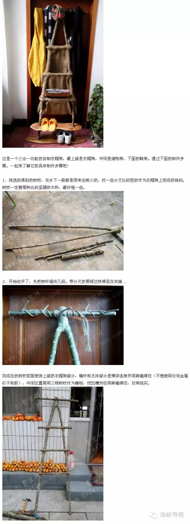 美爆了！台风过后，那些残根断枝竟然这么有用！赶紧学起来...