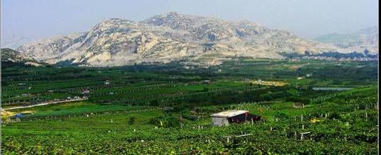 山东今后发展规划,不得了山东话