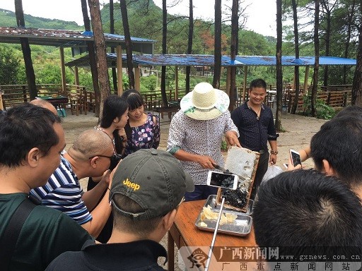 柳州摄影俱乐部,柳州红豆摄影工作室