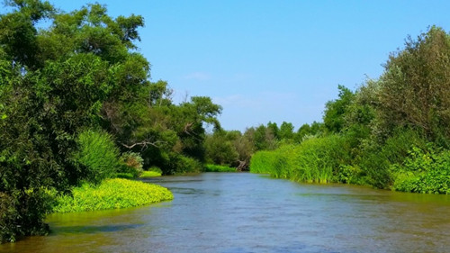 加州哪些地方房价低适合居住,北加州居住房价最低城市