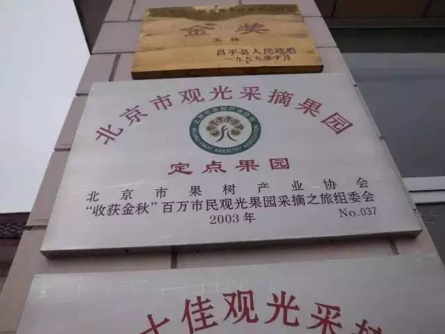 昌平区农业示范园采摘苹果,北京昌平苹果最佳采摘期