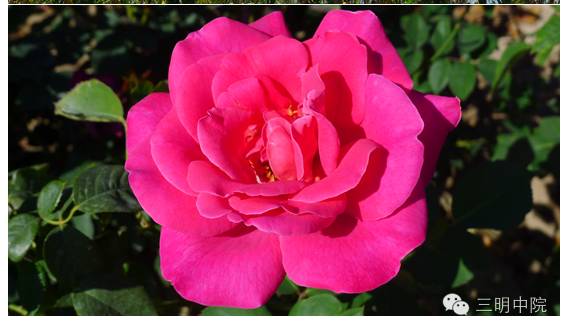 疆域风情玛纳斯,玛纳斯冰雪风情旅游季