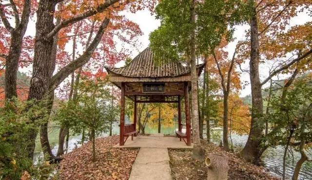 江西10.1小众自驾游路线推荐,江西最好的10条自驾游线路