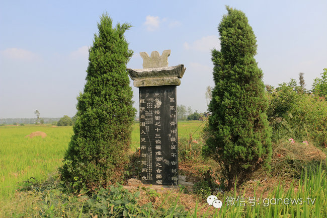 鲜为人知的抗日感人故事真实事件,一段鲜为人知的血泪史