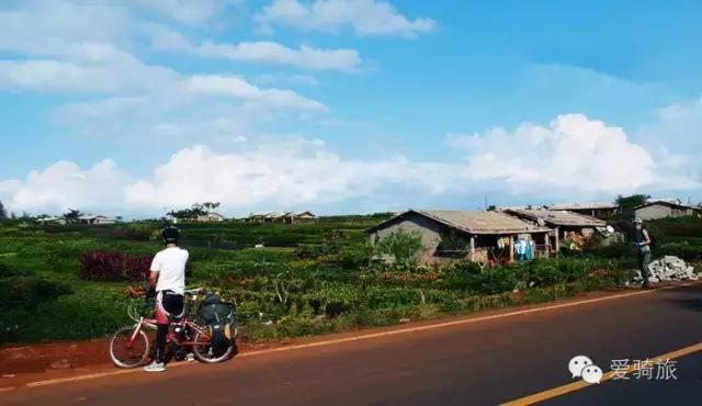 海南环岛游打卡椰林湾,海南椰林游记