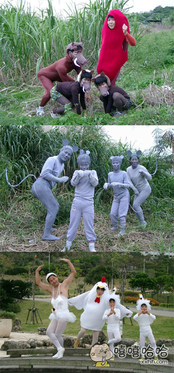 大师兄小师妹：人要是丑啊，别说桃花运，就是菊花运也没有啊！