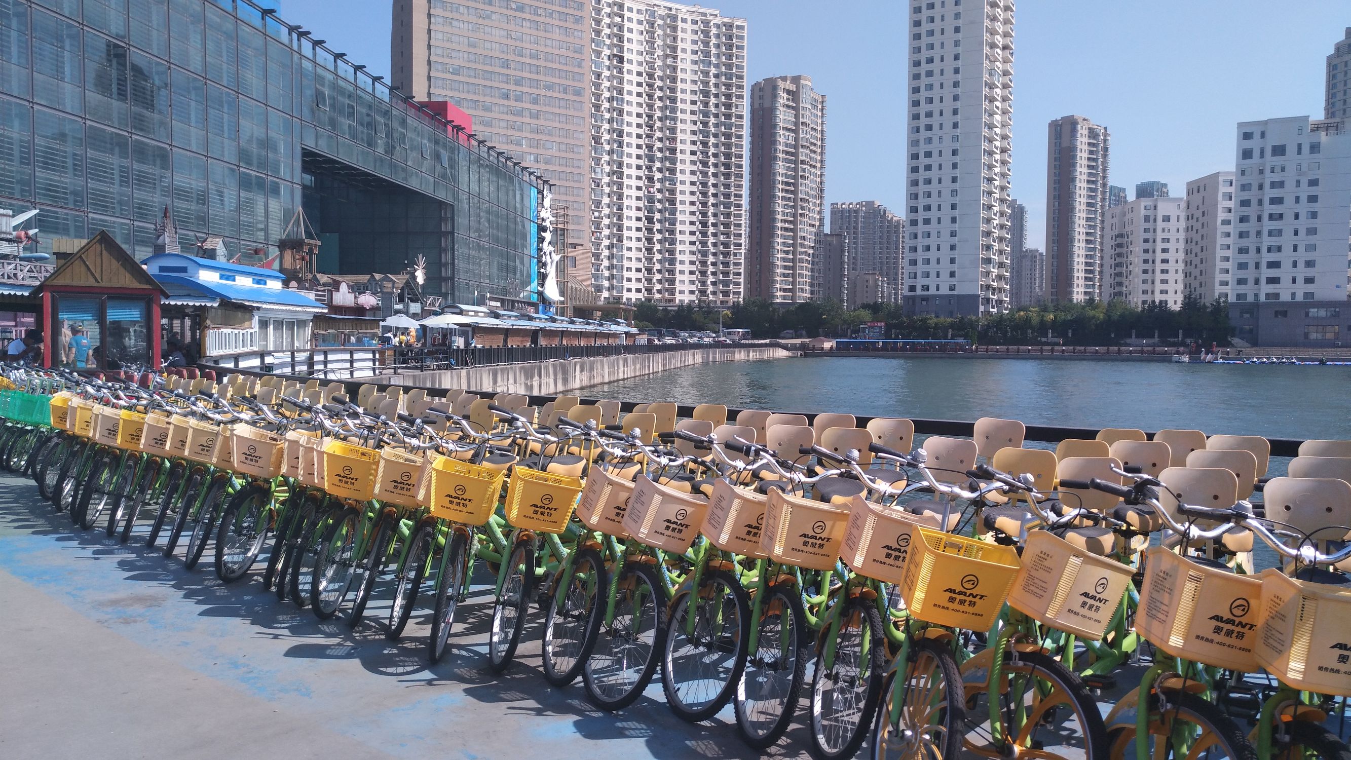 大王叫我来“巡街”：大连星海广场、星海公园、黑石礁