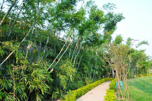 〈花开园〉顺德一间靓到“氹”一声的花园食府，赏花喂牛亲子