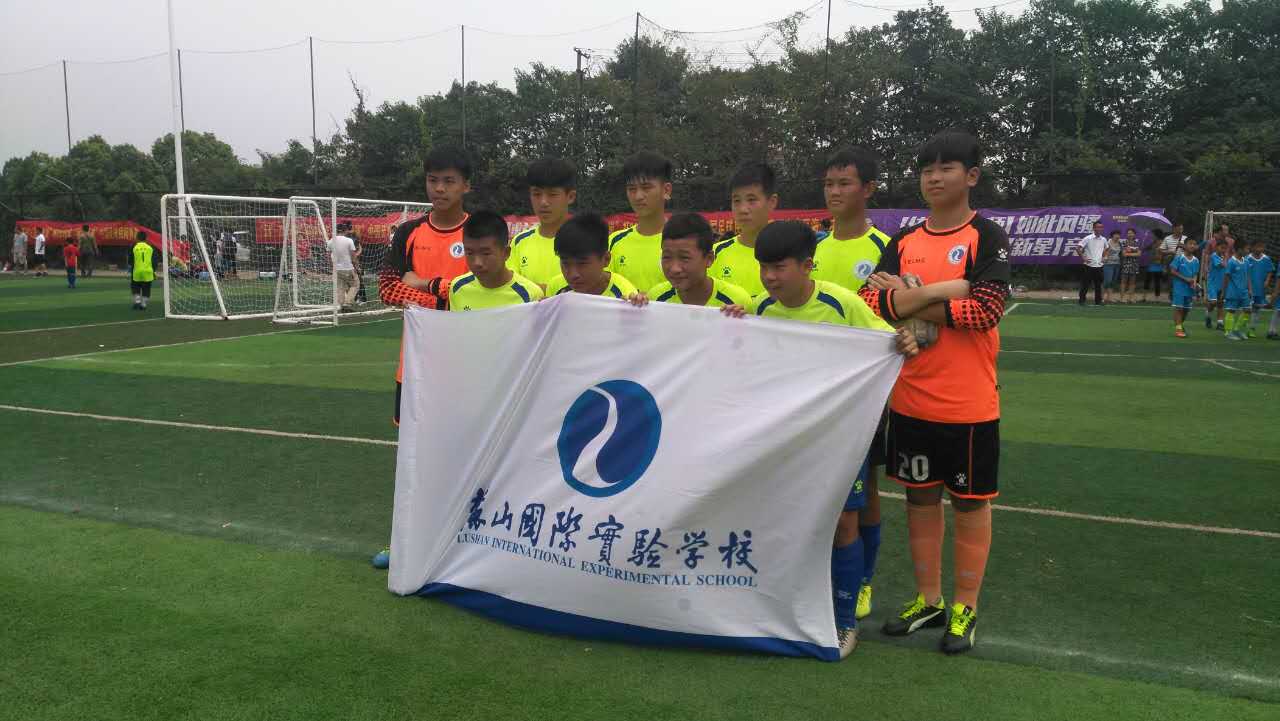 我爱足球全国赛,我爱足球全国总决赛