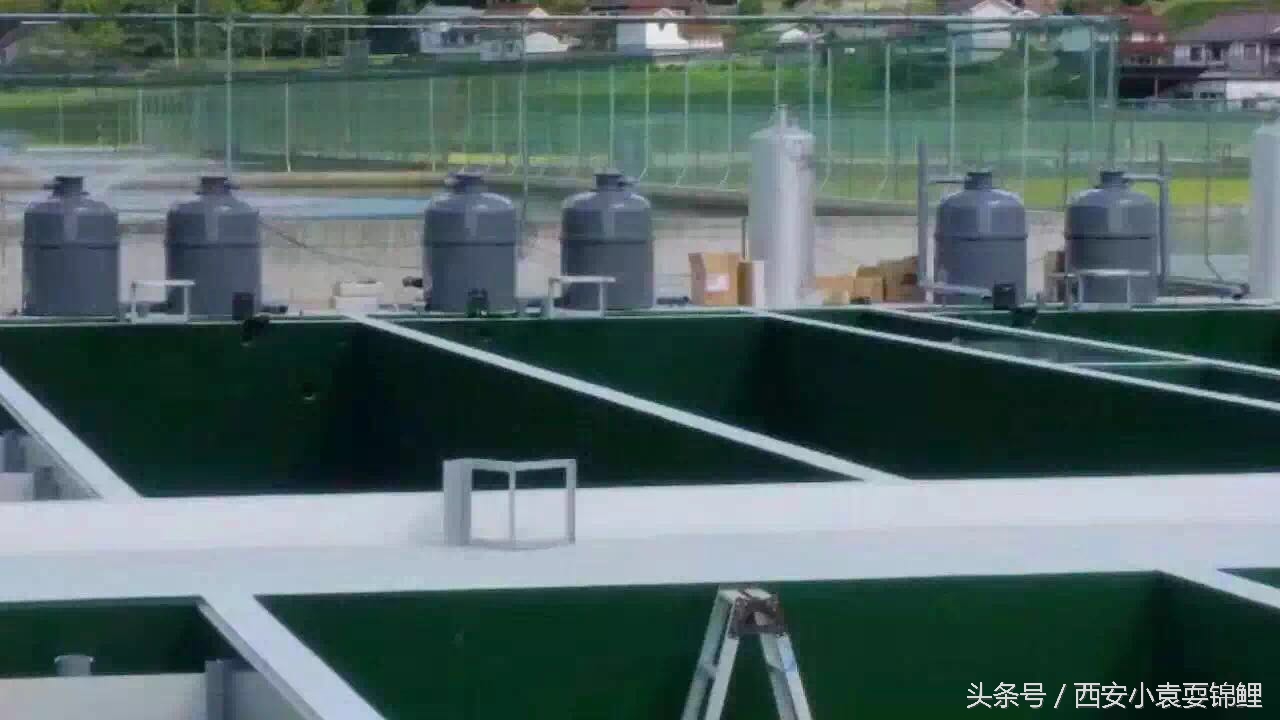 刨根问底“涌清水”！新型低能高效的生物膜法水处理装置