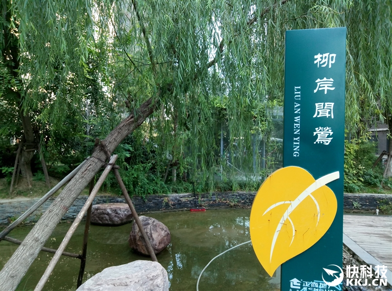 魅族魅蓝max跑分,魅族1699元