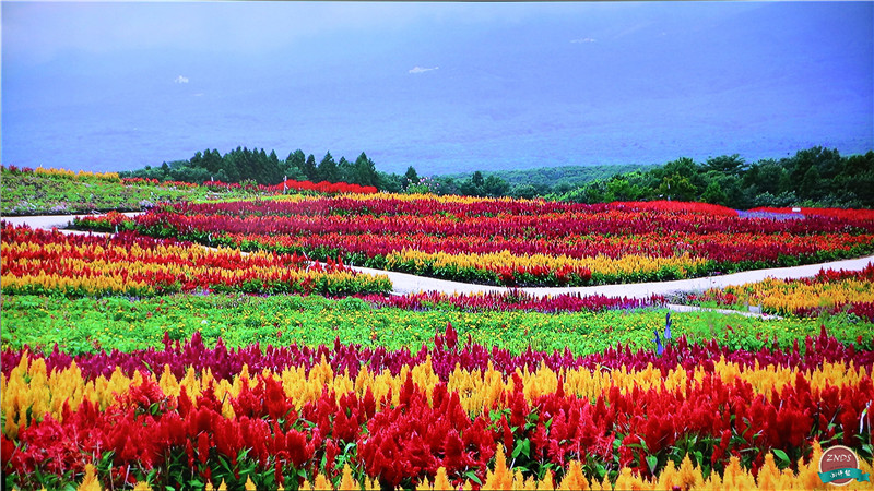 高颜值,大内存!全能影音小霸王—开博尔芒果月光宝盒X5评测