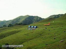 广东的草原在哪,广东附近哪里有草原