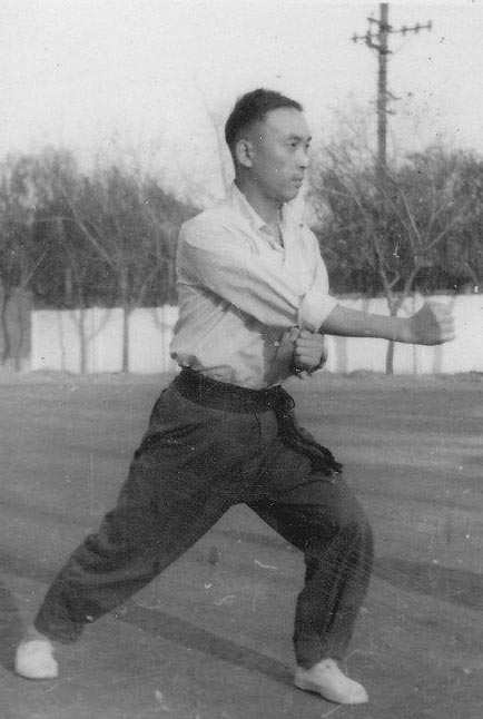 河南的拳种有哪些,河南三大拳