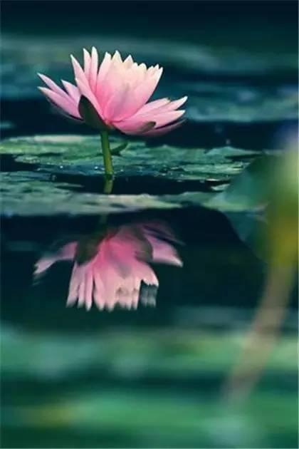 浓浓的姐妹亲情感悟,感悟亲情共度中秋