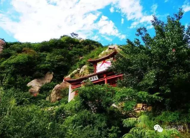 石家庄8个区谁最牛？万万没想到，最富区和最穷区居然相差10倍